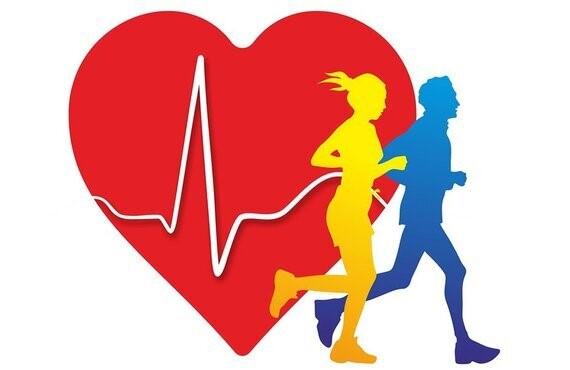 Какая активность полезна для сердца